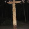 IMG_3527 (Custom)